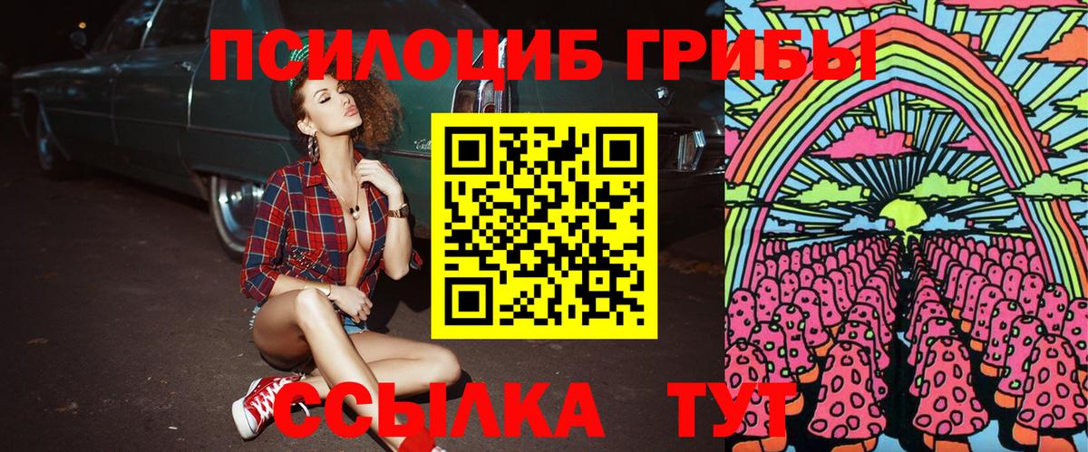 Галлюциногенные грибы Psilocybe Выборг