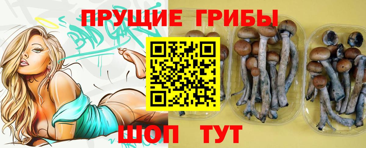 Псилоцибиновые грибы Magic Shrooms  Вход с VPN  Выборг 